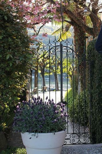 Ristorante Il Verbano Stresa